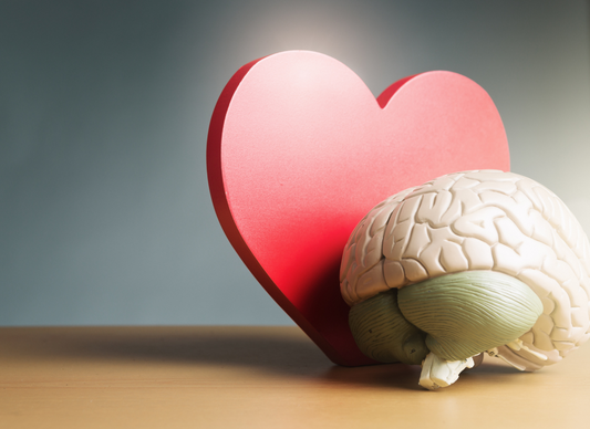 Heart-Brain Coherence: The Secret to Harmonious Living This Valentine's Day